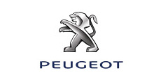 Peugeot Strut Mounts